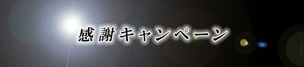 コーティングキャンペーン